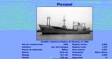 picoazul 1.JPG